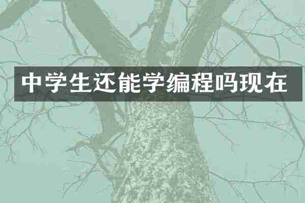 中学生还能学编程吗现在