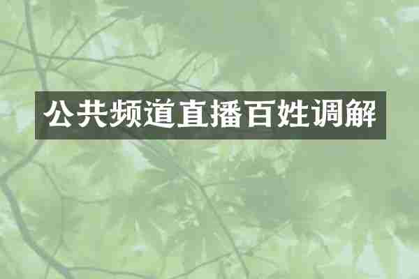 公共频道直播百姓调解