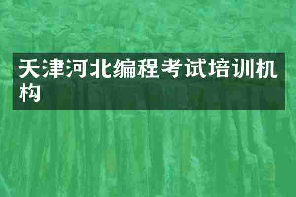 天津河北编程考试培训机构