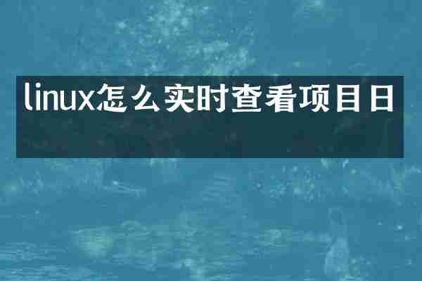 linux怎么实时查看项目日志