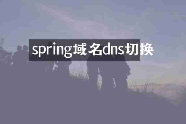 spring域名dns切换