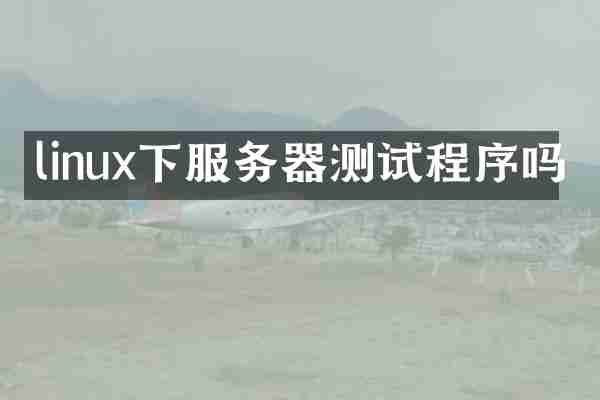 linux下服务器测试程序吗