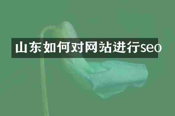 山东如何对网站进行seo