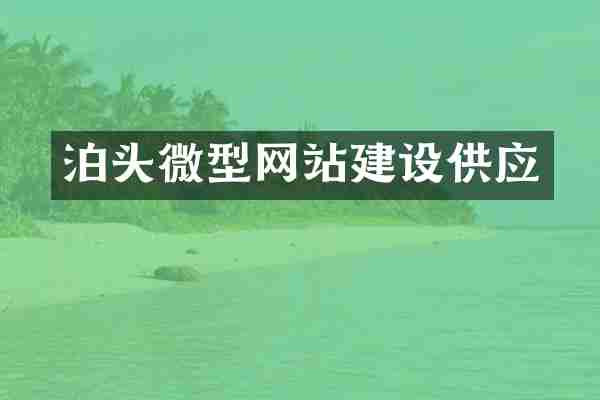 泊头微型网站建设供应