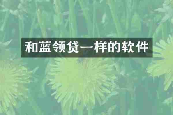 和蓝领贷一样的软件