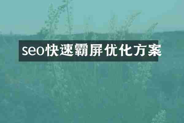 seo快速霸屏优化方案