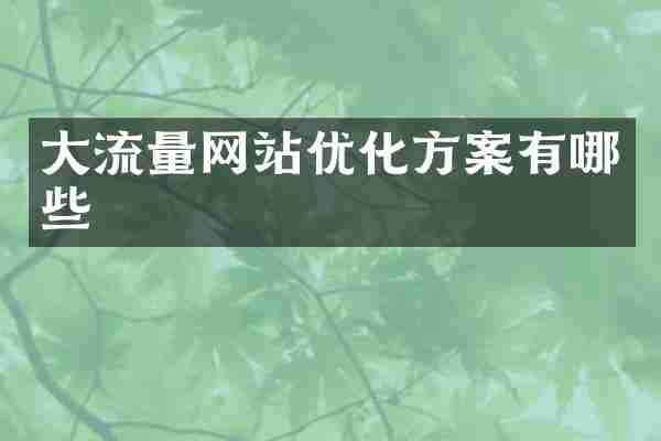大流量网站优化方案有哪些
