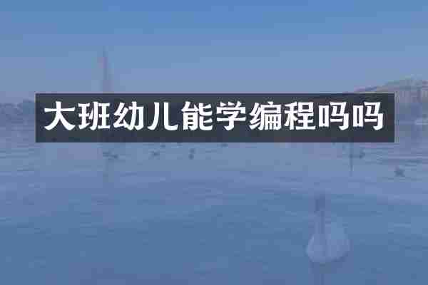 大班幼儿能学编程吗吗