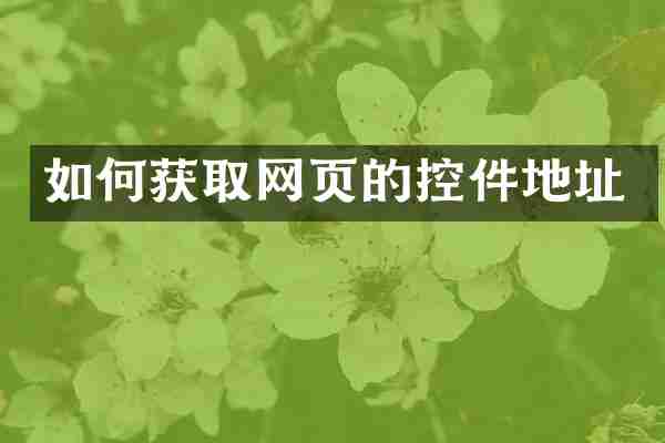 如何获取网页的控件地址