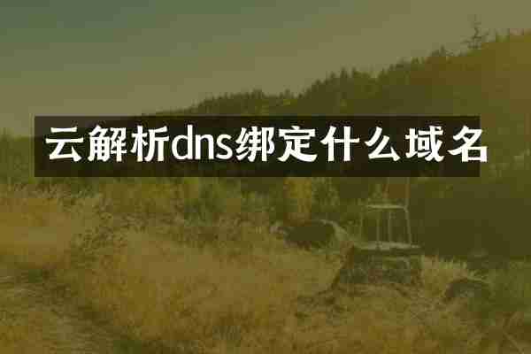 云解析dns绑定什么域名