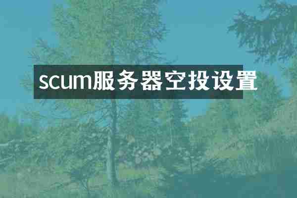 scum服务器空投设置