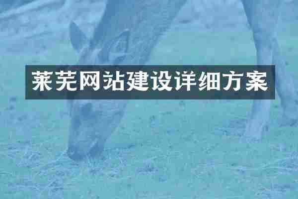 莱芜网站建设详细方案