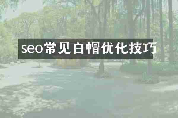 seo常见白帽优化技巧