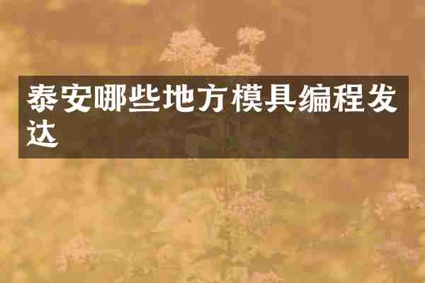 泰安哪些地方模具编程发达