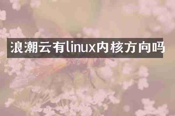 浪潮云有linux内核方向吗