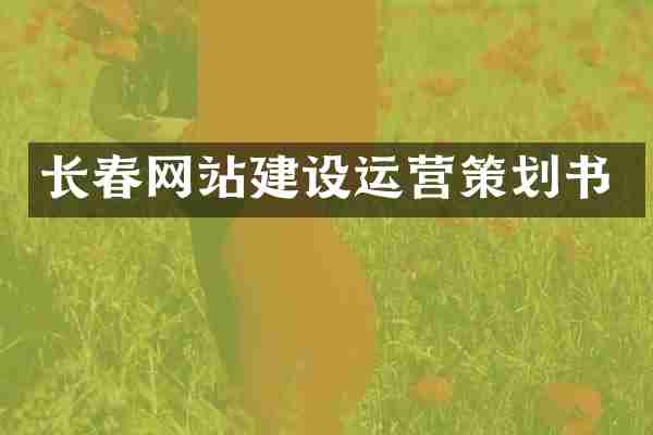 长春网站建设运营策划书