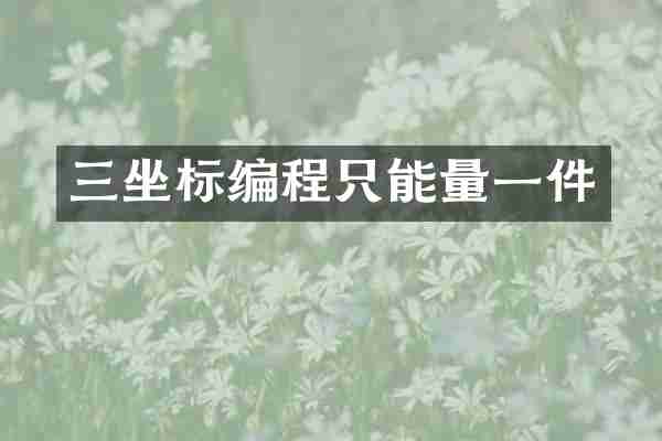 三坐标编程只能量一件