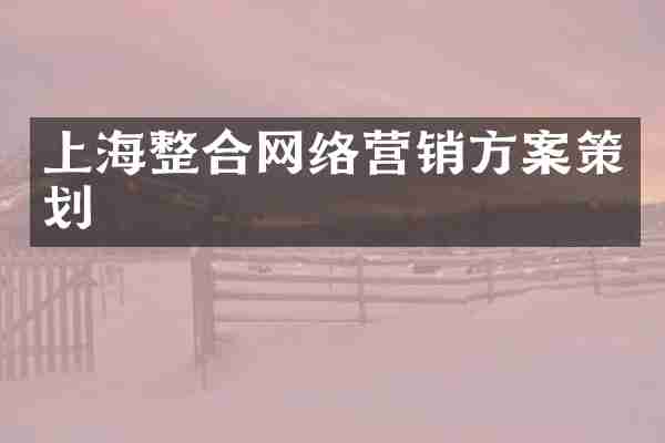 上海整合网络营销方案策划