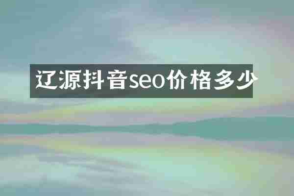 辽源抖音seo价格多少