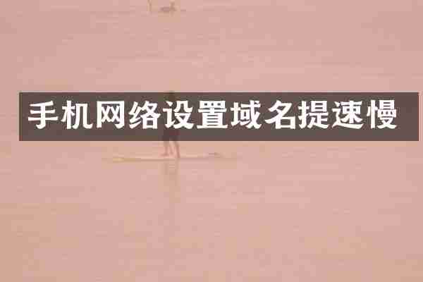 手机网络设置域名提速慢