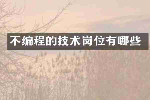 不编程的技术岗位有哪些