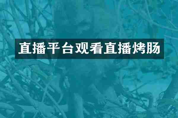 直播平台观看直播烤肠