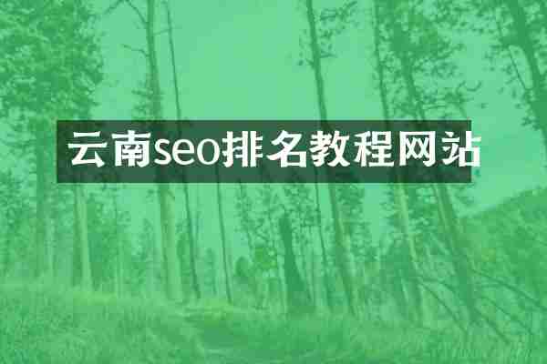 云南seo排名教程网站