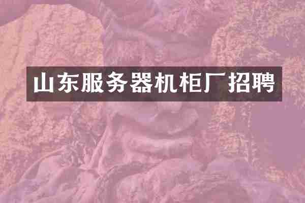 山东服务器机柜厂招聘