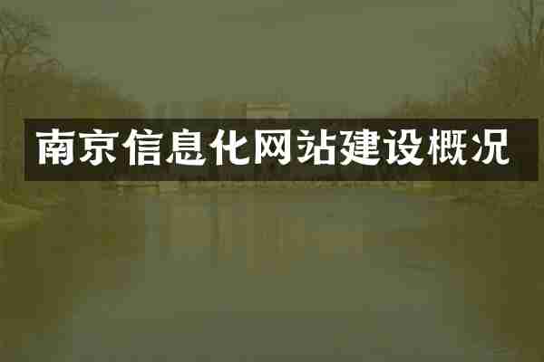 南京信息化网站建设概况
