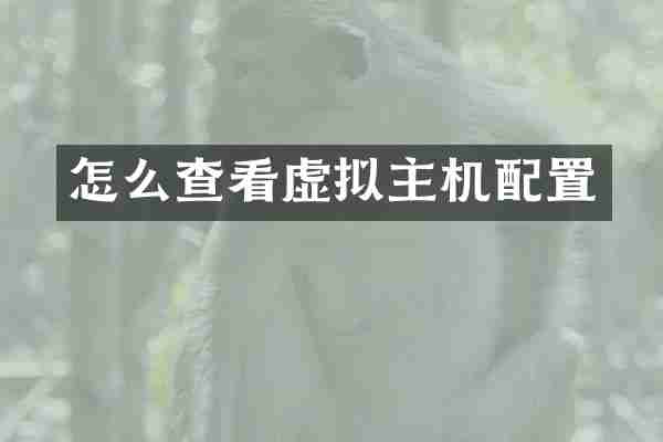 怎么查看虚拟主机配置