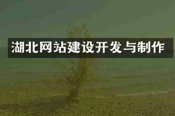 湖北网站建设开发与制作