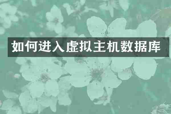 如何进入虚拟主机数据库