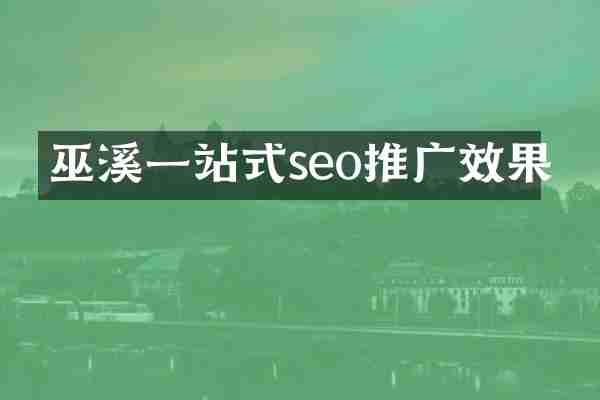 巫溪一站式seo推广效果