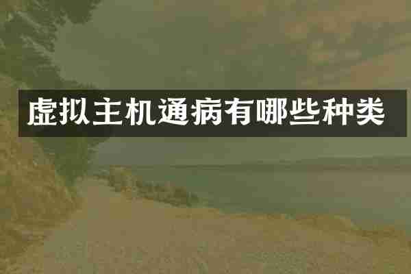 虚拟主机通病有哪些种类