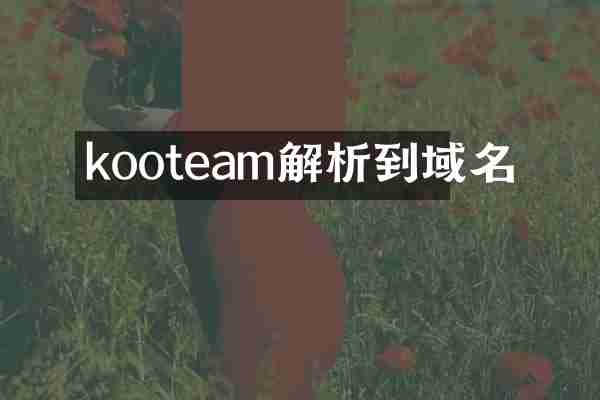 kooteam解析到域名