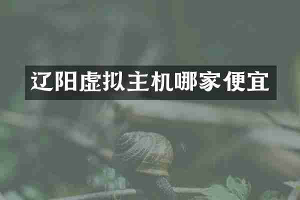 辽阳虚拟主机哪家便宜