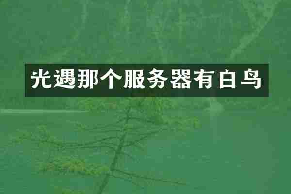 光遇那个服务器有白鸟