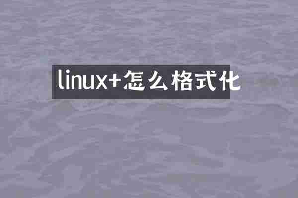 linux+怎么格式化