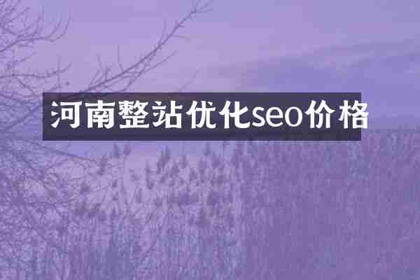 河南整站优化seo价格