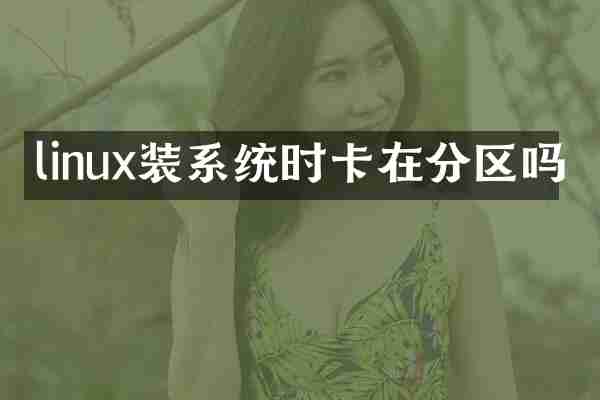 linux装系统时卡在分区吗