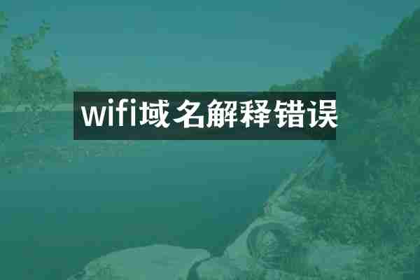 wifi域名解释错误