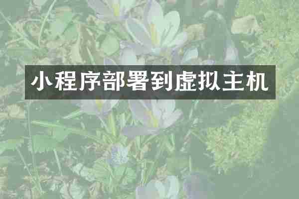 小程序部署到虚拟主机