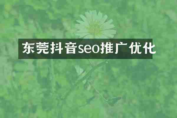 东莞抖音seo推广优化