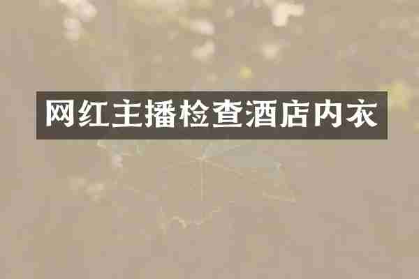 网红主播检查酒店内衣