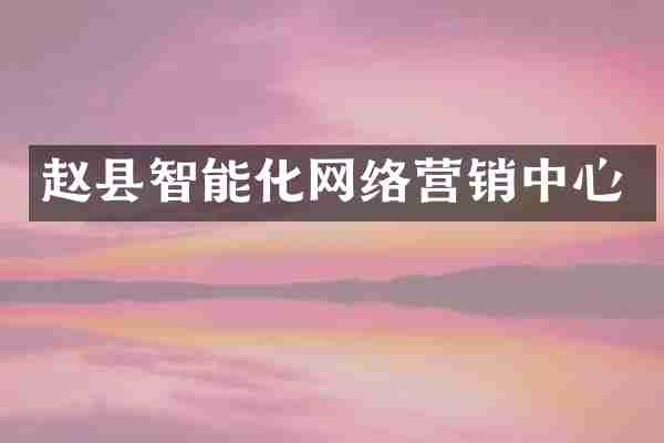 赵县智能化网络营销中心