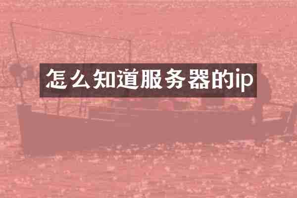 怎么知道服务器的ip