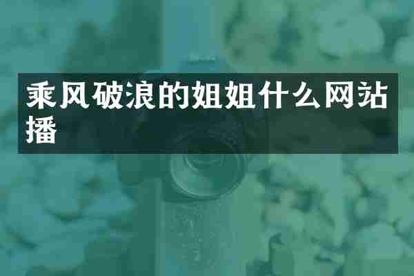 乘风破浪的姐姐什么网站播