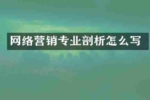 网络营销专业剖析怎么写