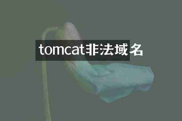 tomcat非法域名