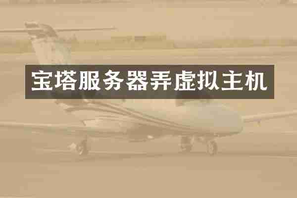 宝塔服务器弄虚拟主机